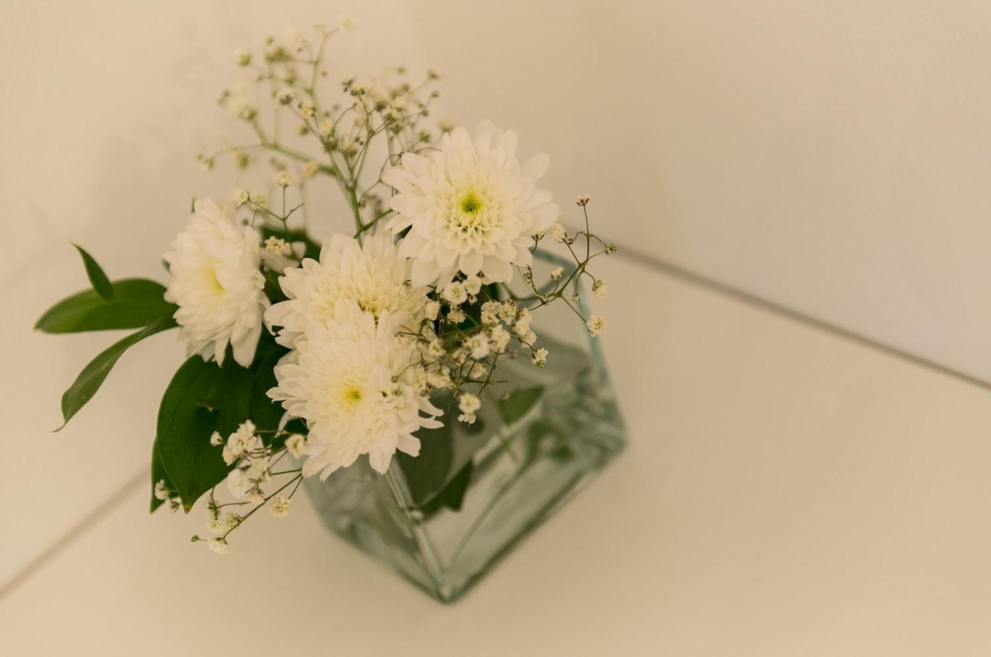 Bed&Breakfast Sorgo Palace 斯顿 客房 照片